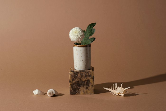 A ceramic vase on a table in soft daylight