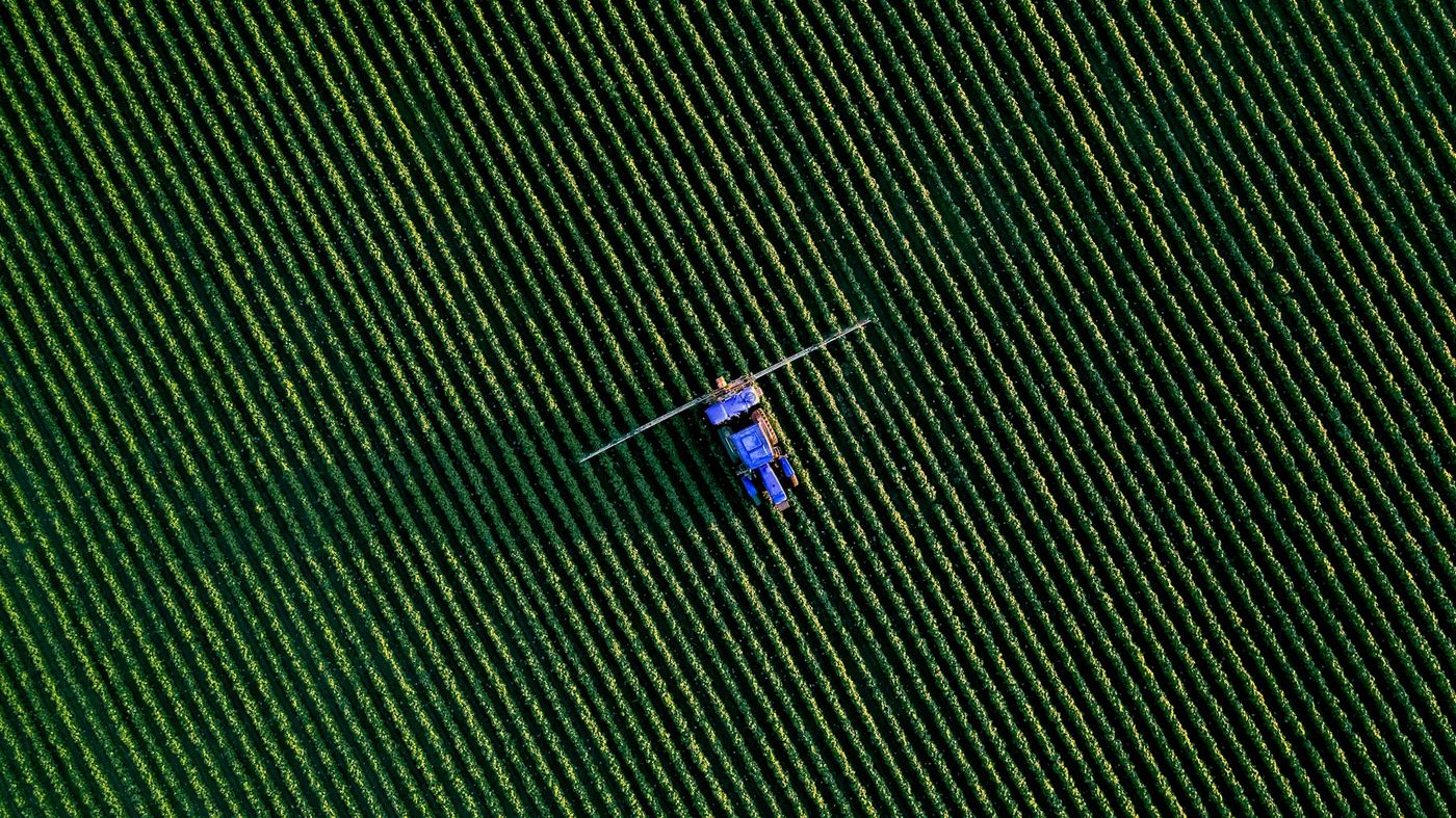 An aerial view of a tractor spraying rows of a green crop