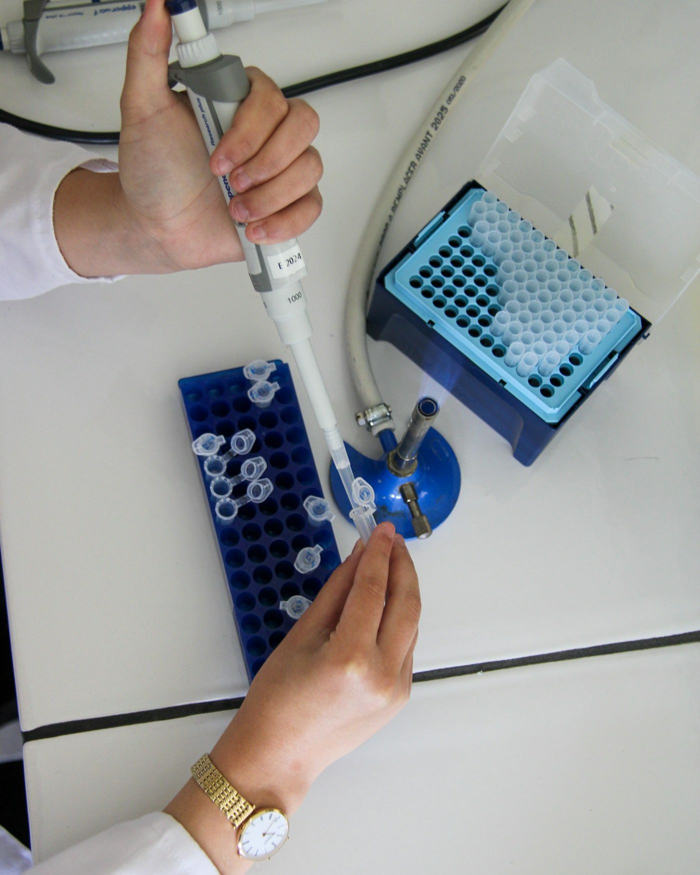 Gloved hands using a pipette over sample racks on a white laboratory bench