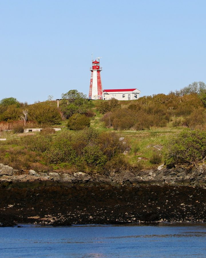 A red and white lighthouse on a green hill above the rocks and water of the harbour, under a clear sky.
