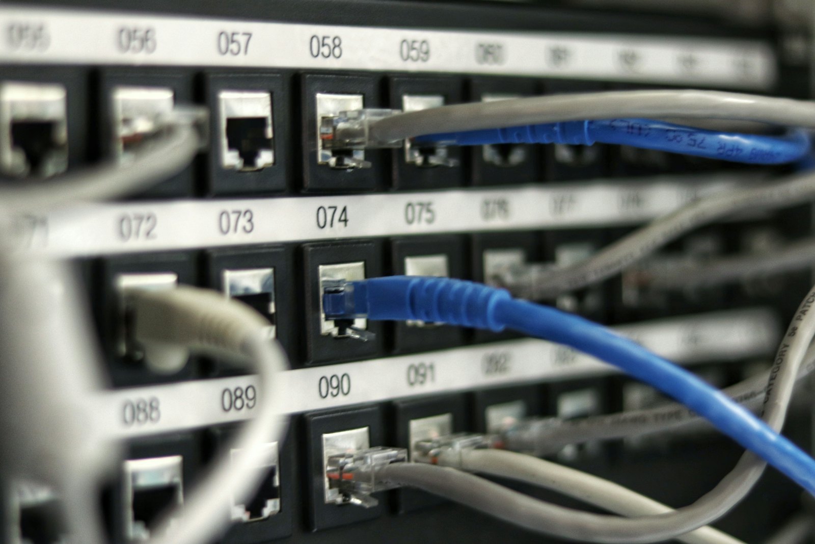 A network patch panel in close-up, its ports numbered and grey and blue cables plugged into them