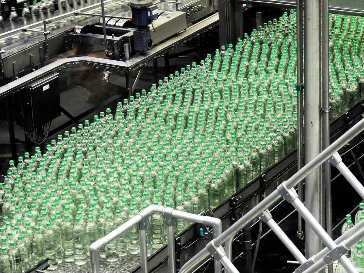 Hundreds of capped glass bottles move along a conveyor on a bottling line