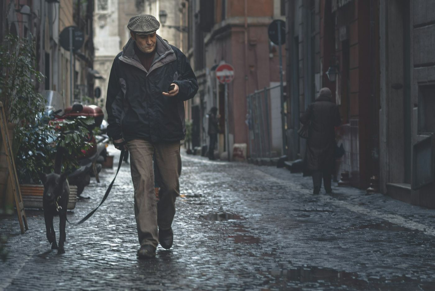 A man walking a dog along a wet cobbled street while checking his phone
